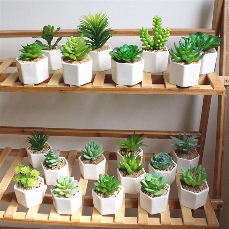 人工観葉植物 フェイクグリーン フェイク観葉植物 造花 ミニ多肉植物 多肉植物 ミニサイズ 卓上 白陶器鉢 かわいい インテリア 贈り物 プレゼント プラスナオ Paypayモール店 通販 Paypayモール