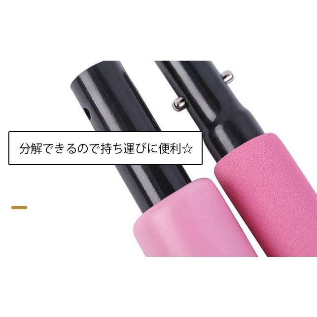 plusnao（プラスナオ） ピラティスバー トレーニングチューブ