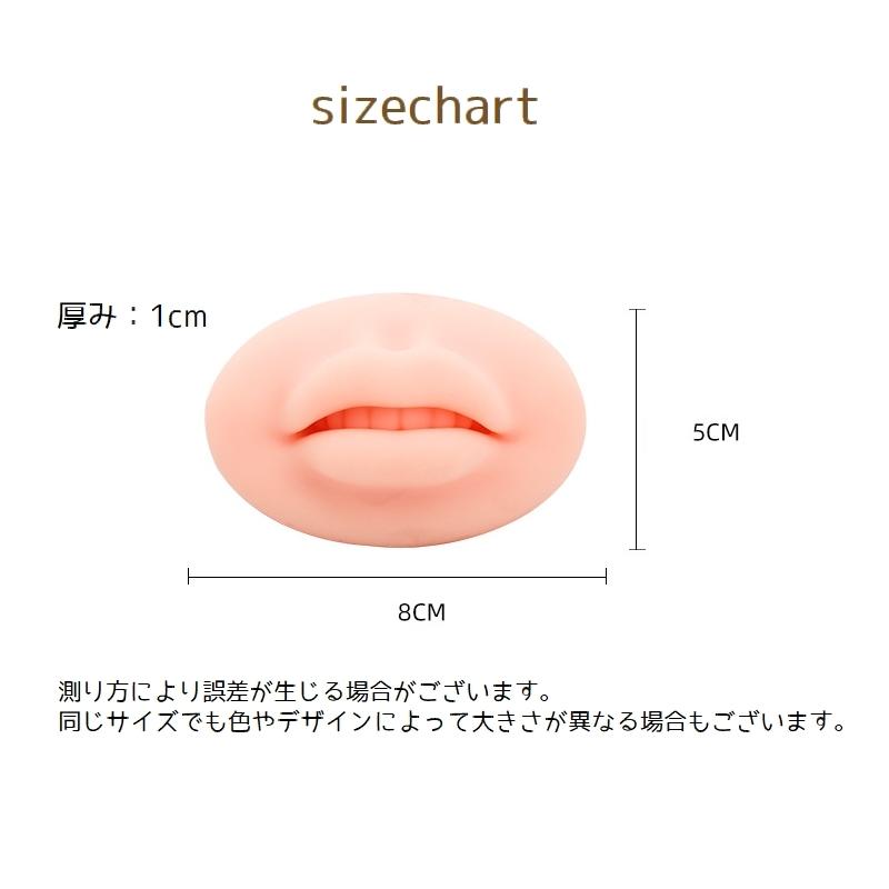 メイク練習用ソフトリップ メイクアップ リップボード 唇 模型 リップタトゥー練習 口紅 リップクリーム リップピアス シュミレーション やわらかい | ブランド登録なし | 12