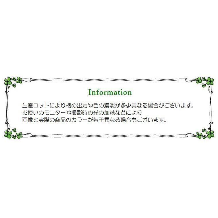 ウォールステッカー 飛び出す恐竜 いたずら ドッキリ 子供部屋 アニマル 壁 リフォーム 壁紙シール パーティ イベント インテリア ユニーク Diy Zak プラスナオyahoo 店 通販 Yahoo ショッピング