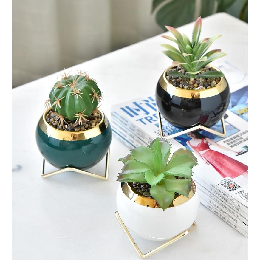 植木 陶器鉢 塊根植物 多肉植物 多肉植物 観葉植物 プランター 植木鉢多肉塊根観葉植物ハンドメイド陶器陶芸 【公式通販】