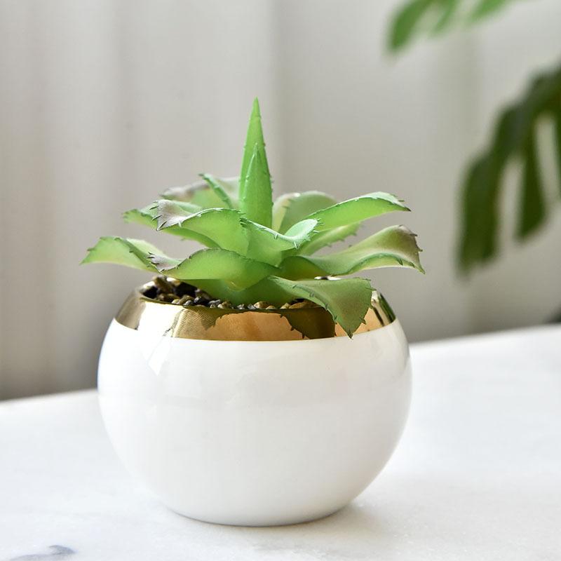 植木鉢 多肉植物ポット プランター スタンド付き 陶器鉢 盆栽 寄せ植え