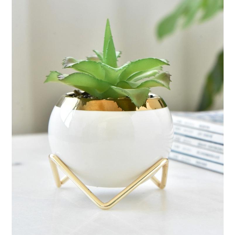 植木鉢 多肉植物ポット プランター スタンド付き 陶器鉢 盆栽 寄せ植え