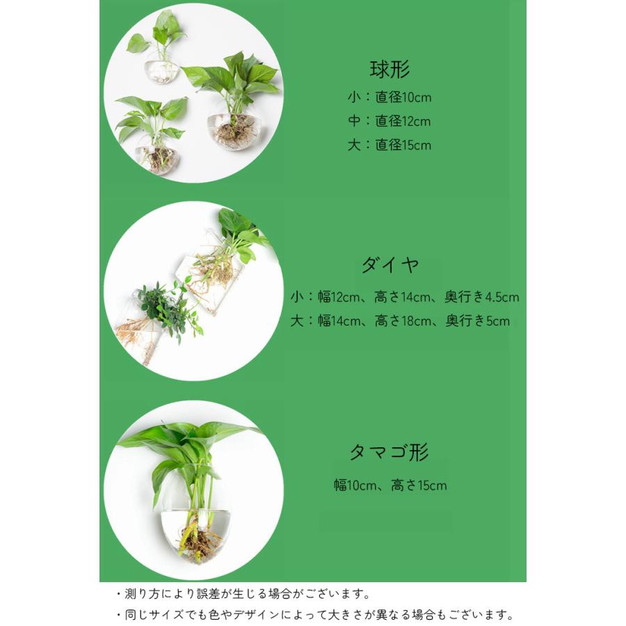 壁掛け花瓶 花瓶 ガラス 吊り下げ 壁掛け 植木鉢 円形 花形 三角形
