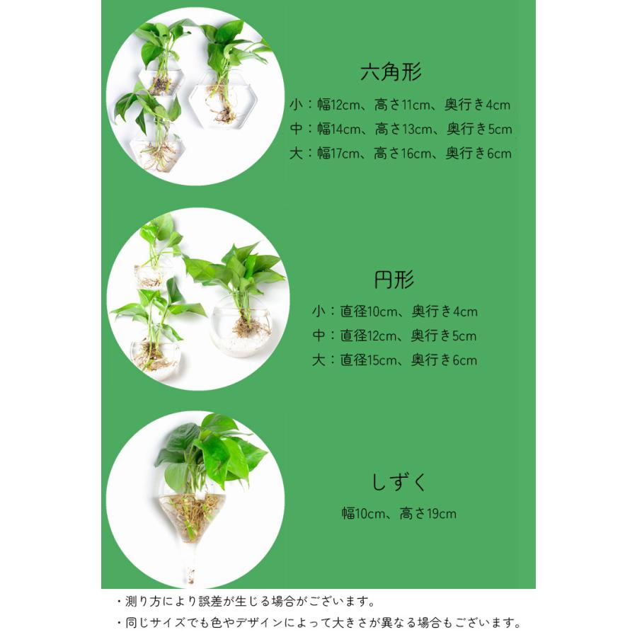 壁掛けフラワーベース 六角形 円形 2点セット 壁掛け花瓶 花瓶 ガラス 吊り下げ 壁掛け 植木鉢 円形 花形 三角形