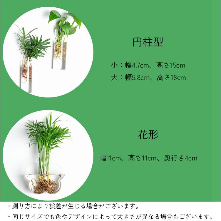 壁掛け花瓶 花瓶 ガラス 吊り下げ 壁掛け 植木鉢 円形 花形 三角形