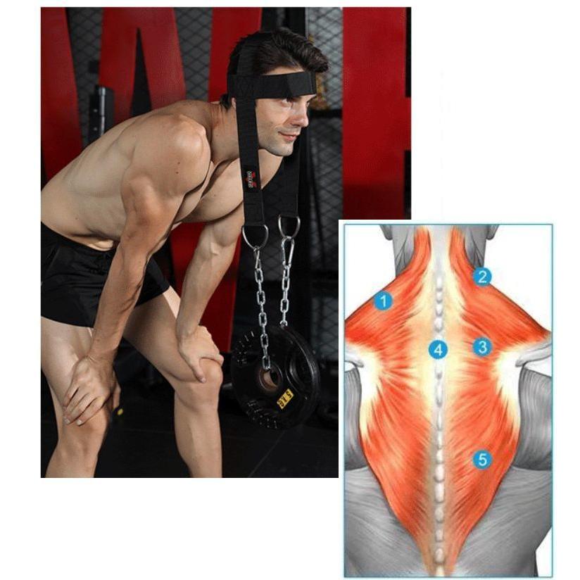 plusnao ヘッドハーネス 筋トレグッズ ネックハーネス 首強化