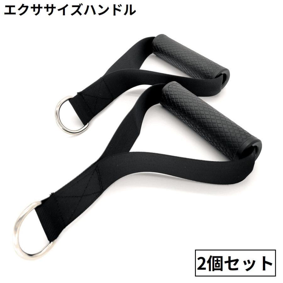 plusnao（プラスナオ） エクササイズハンドル 2個セット ケーブル