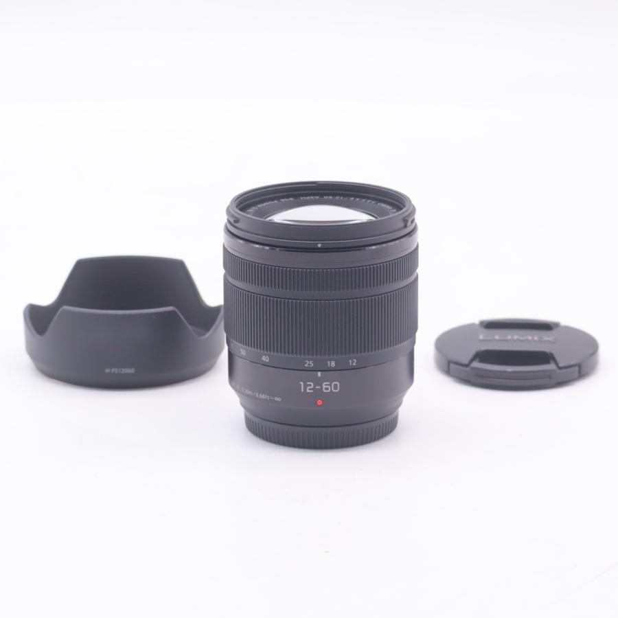 パナソニック Panasonic LUMIX G VARIO 12-60mm/F3.5-5.6  H-FS12060 | 