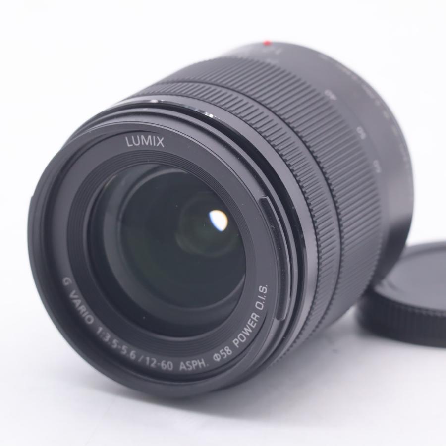 パナソニック Panasonic LUMIX G VARIO 12-60mm/F3.5-5.6  H-FS12060 |  | 01