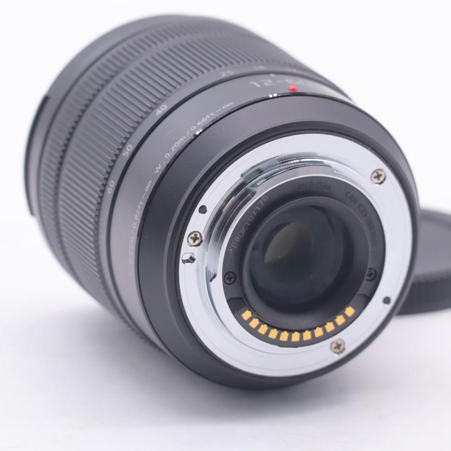 パナソニック Panasonic LUMIX G VARIO 12-60mm/F3.5-5.6  H-FS12060 |  | 02