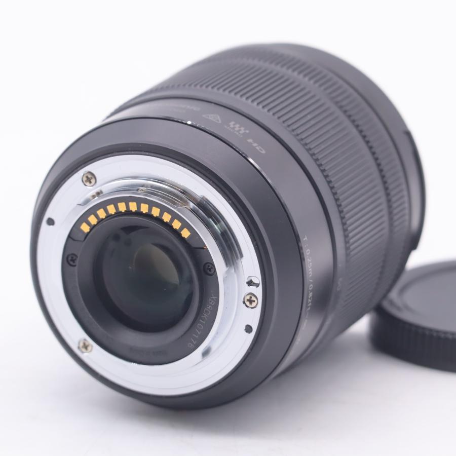 パナソニック Panasonic LUMIX G VARIO 12-60mm/F3.5-5.6  H-FS12060 |  | 03