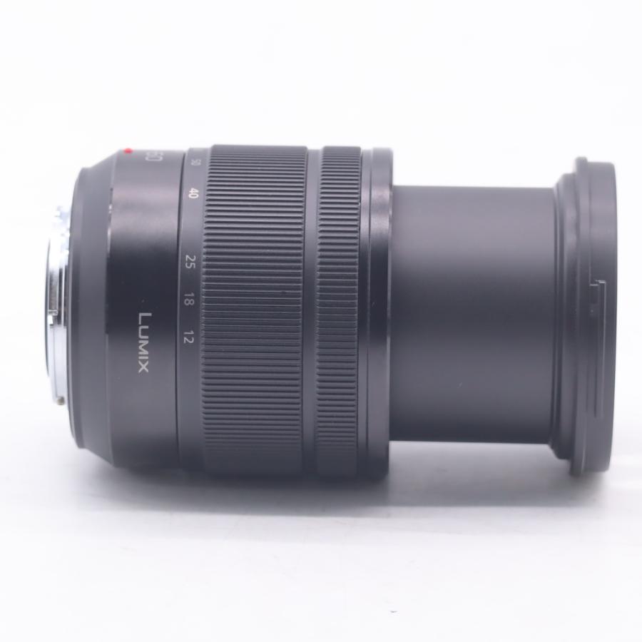 パナソニック Panasonic LUMIX G VARIO 12-60mm/F3.5-5.6  H-FS12060 |  | 04