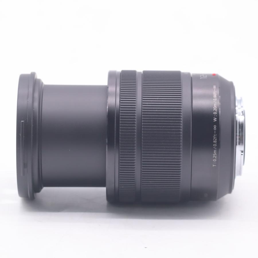パナソニック Panasonic LUMIX G VARIO 12-60mm/F3.5-5.6  H-FS12060 |  | 05