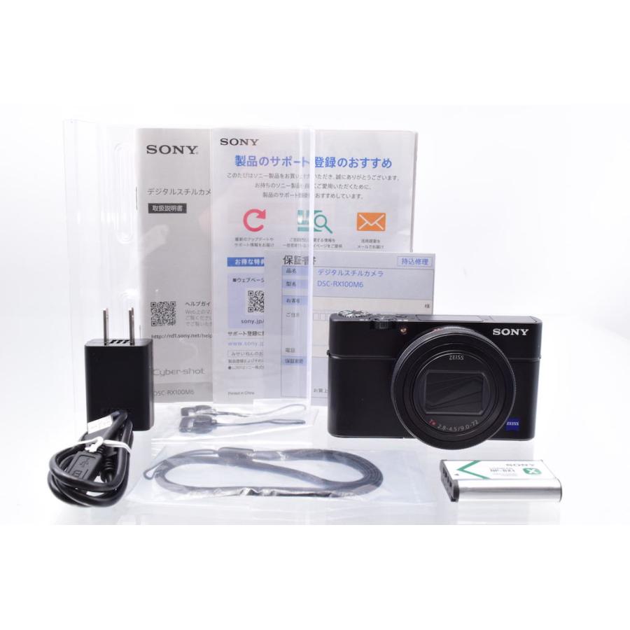 ソニー SONY  DSC-RX100M6 Cyber-shot |  | 06