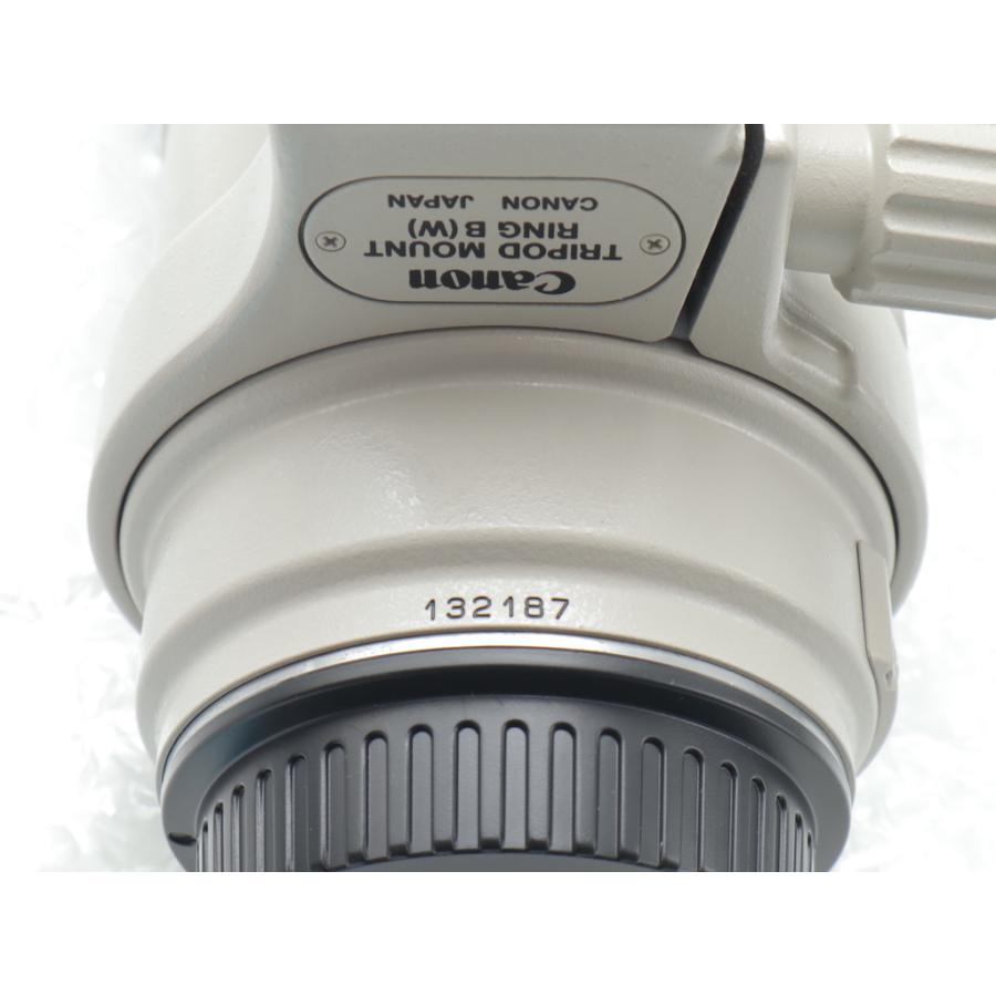 キヤノン Canon EF 300mm F4L IS USM |  | 09