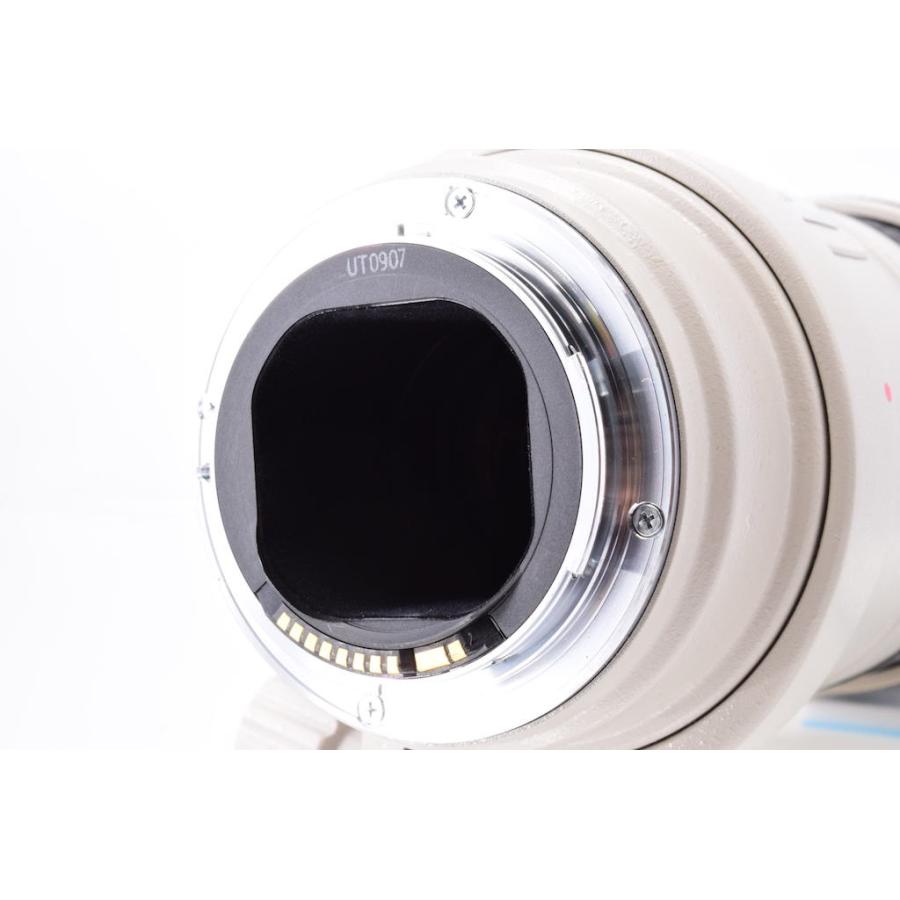 キヤノン Canon EF 300mm F4L IS USM |  | 01