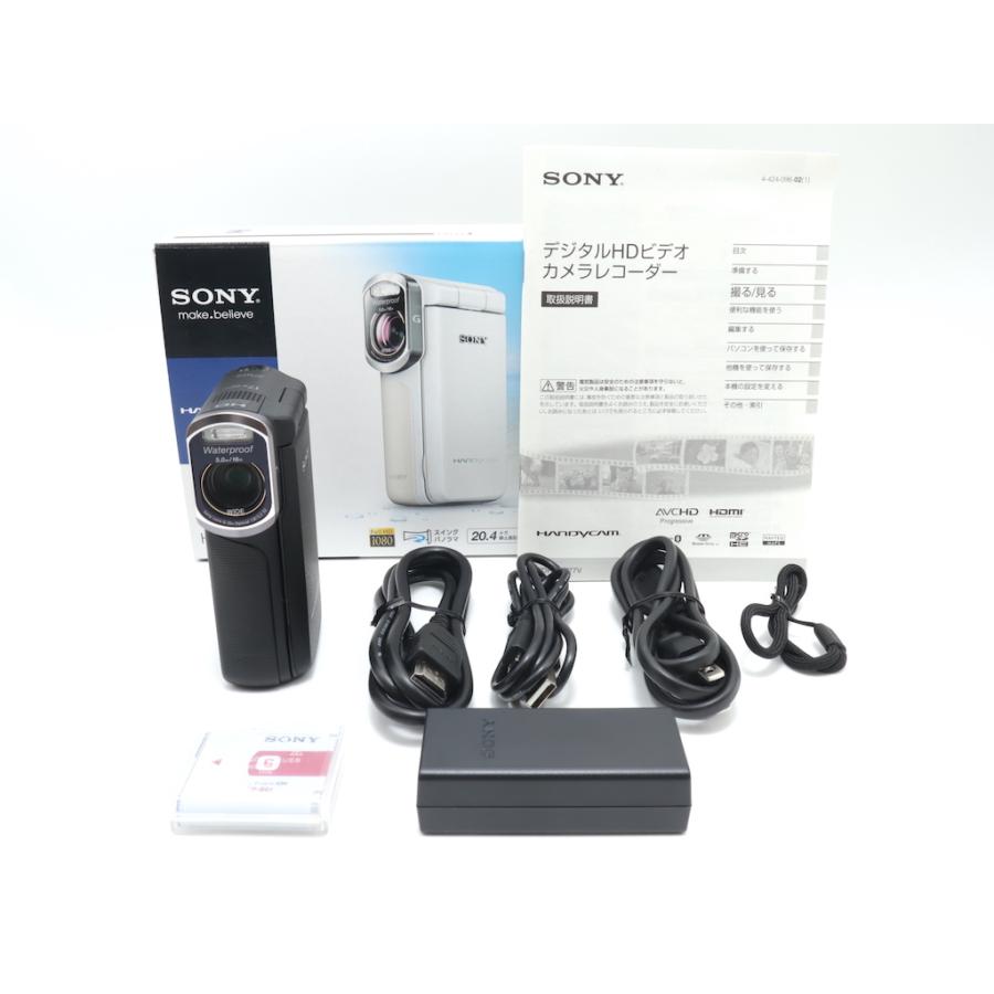 ソニー SONY HDR-GW77V | 