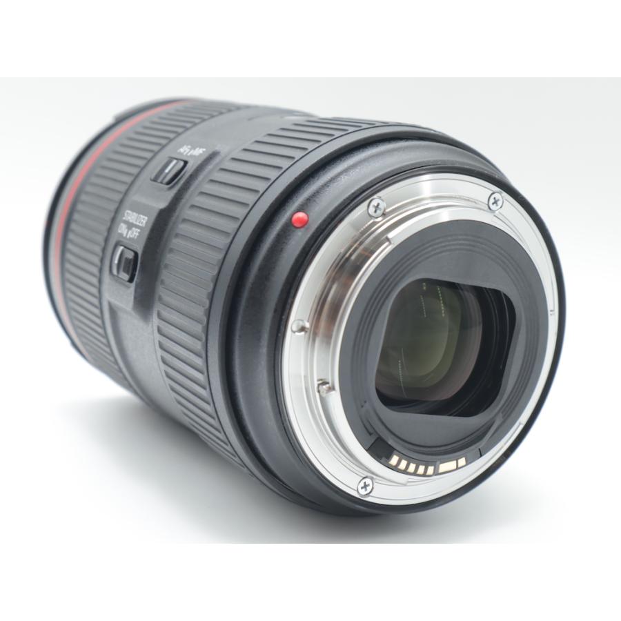 キヤノン Canon EF24-105mm F4L IS II USM |  | 04