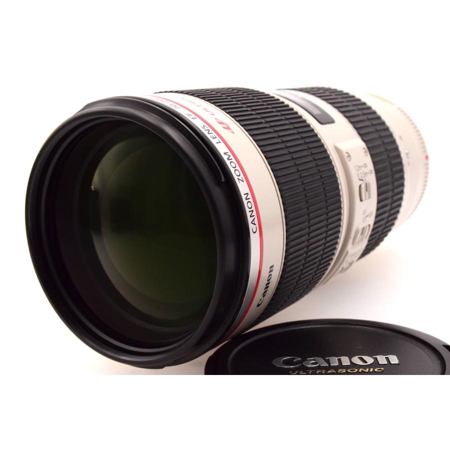 キヤノン Canon EF70-200mm F2.8L IS II USM |  | 01