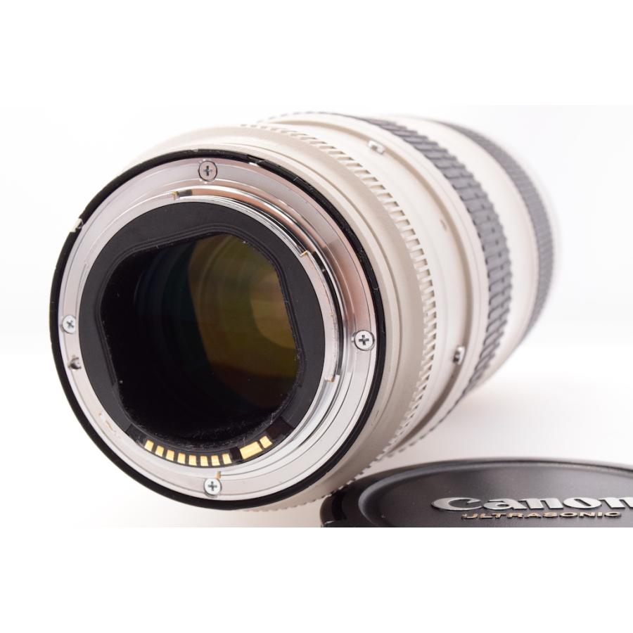 キヤノン Canon EF70-200mm F2.8L IS II USM |  | 03