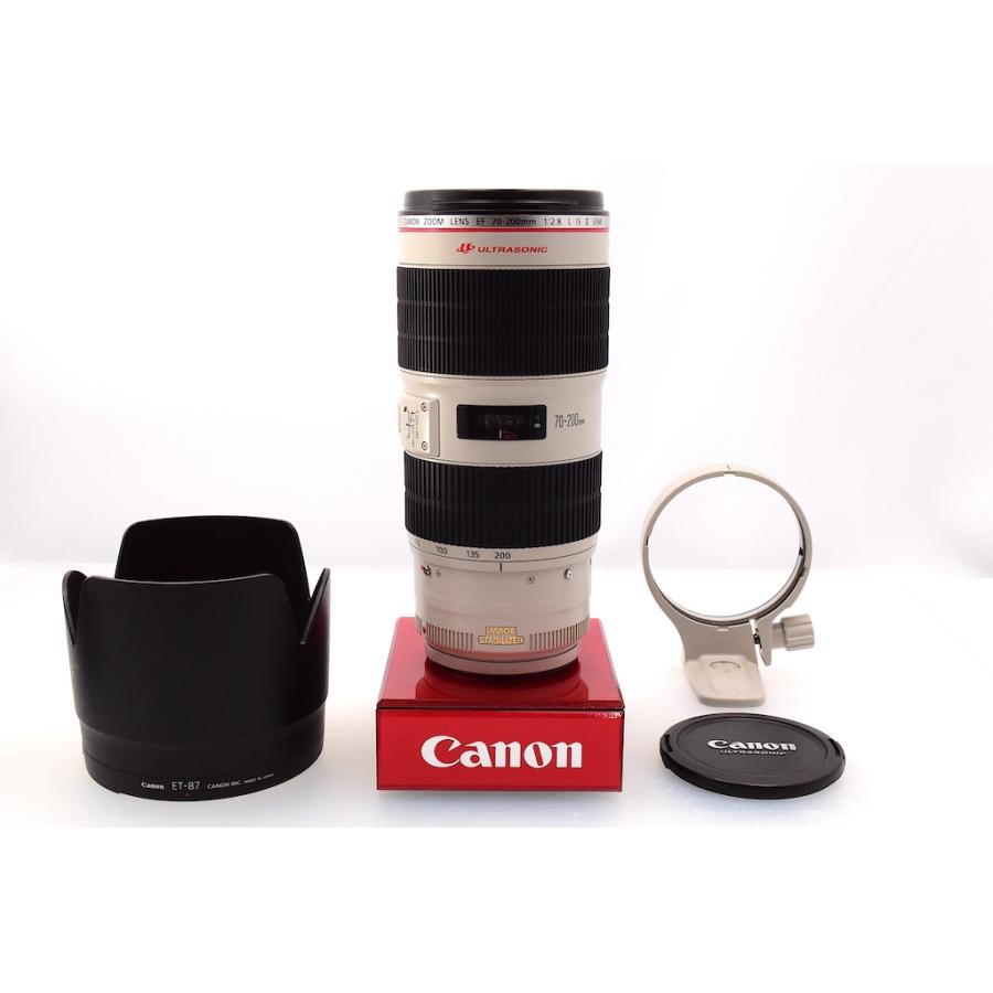 キヤノン Canon EF70-200mm F2.8L IS II USM |  | 06