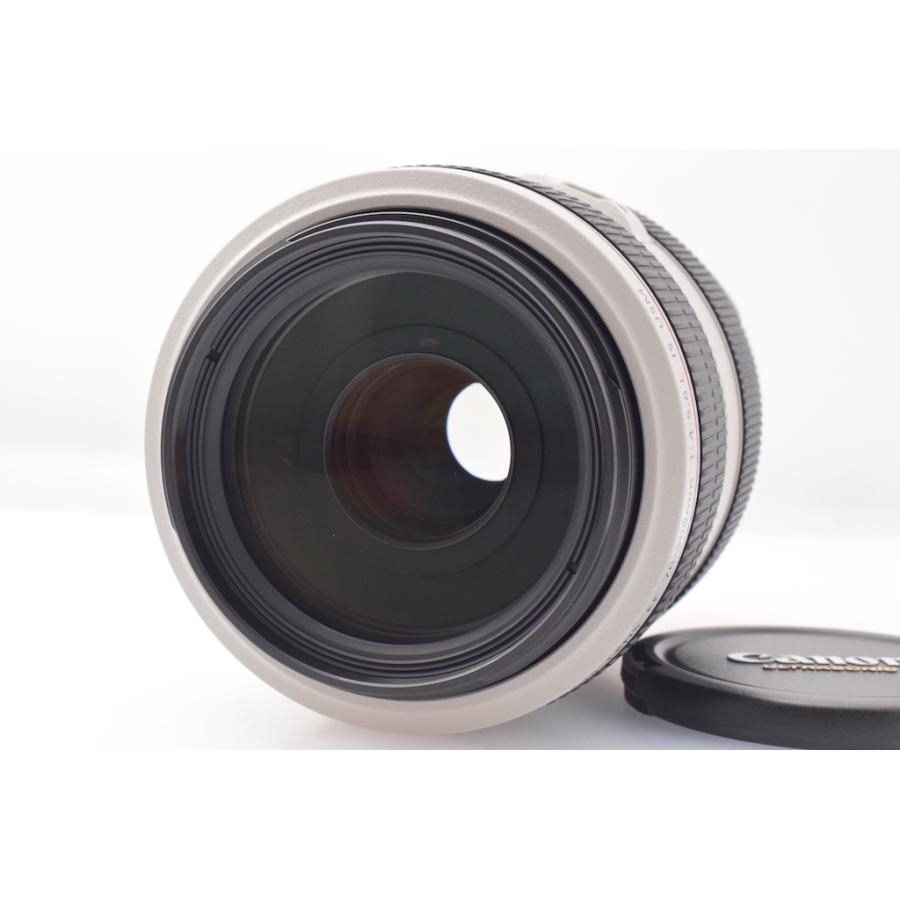 キヤノン Canon EF 70-300mm F4-5.6L IS USM | 