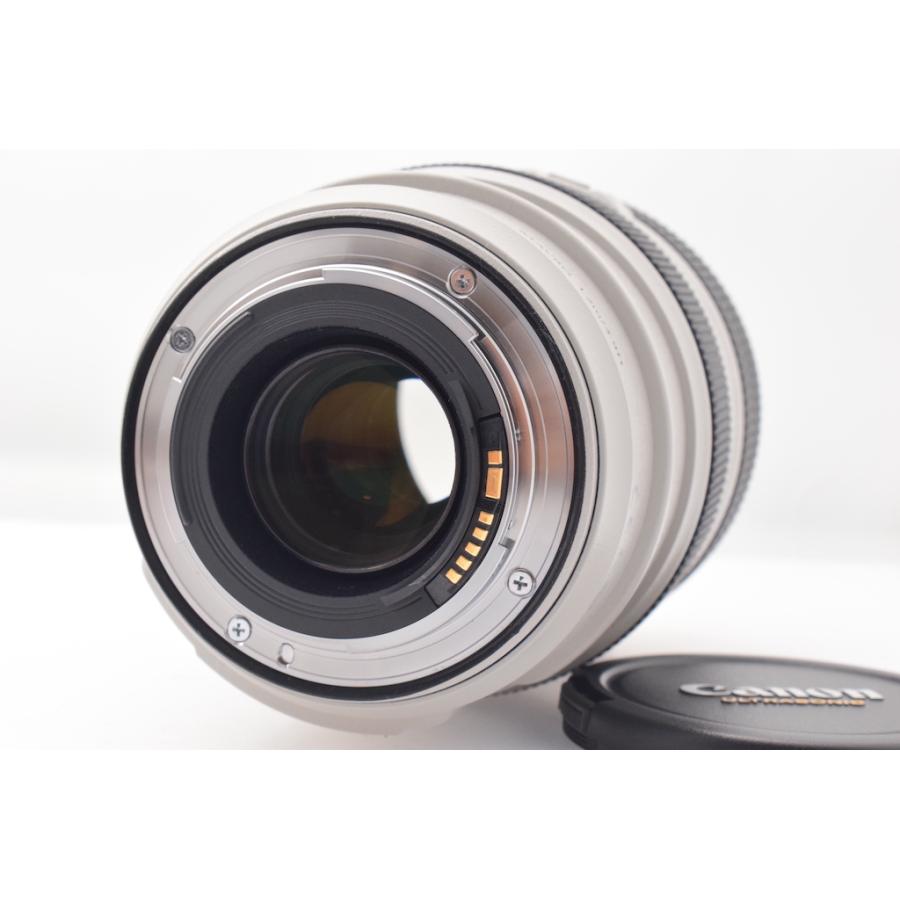 キヤノン Canon EF 70-300mm F4-5.6L IS USM |  | 01
