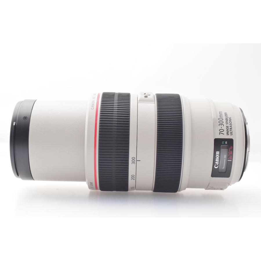 キヤノン Canon EF 70-300mm F4-5.6L IS USM |  | 02