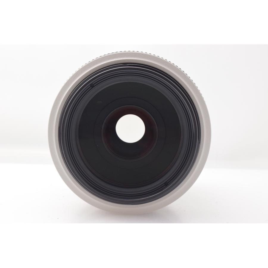 キヤノン Canon EF 70-300mm F4-5.6L IS USM |  | 04
