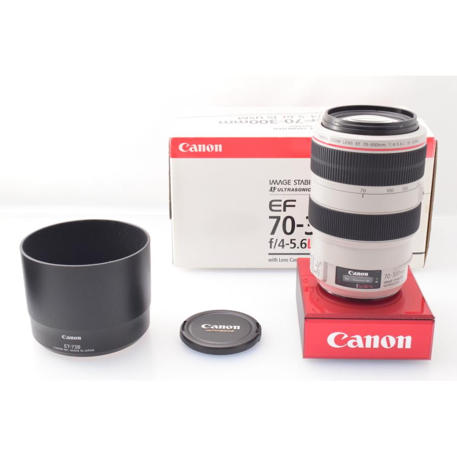 キヤノン Canon EF 70-300mm F4-5.6L IS USM |  | 05
