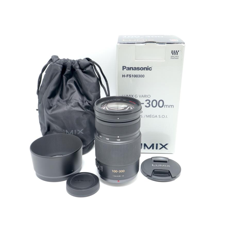 パナソニック PanasonicLUMIX G VARIO 100-300mm/F4.0-5.6/MEGA O.I.S. H-FS100300 | 