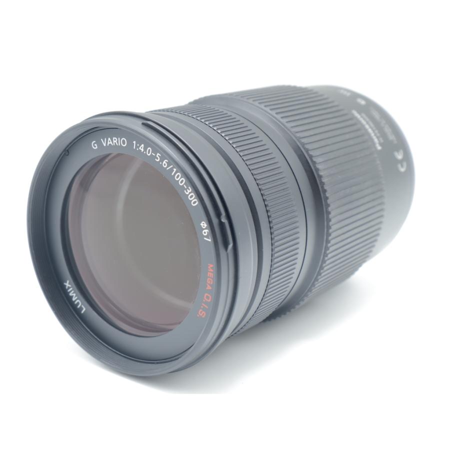 パナソニック PanasonicLUMIX G VARIO 100-300mm/F4.0-5.6/MEGA O.I.S. H-FS100300 |  | 01