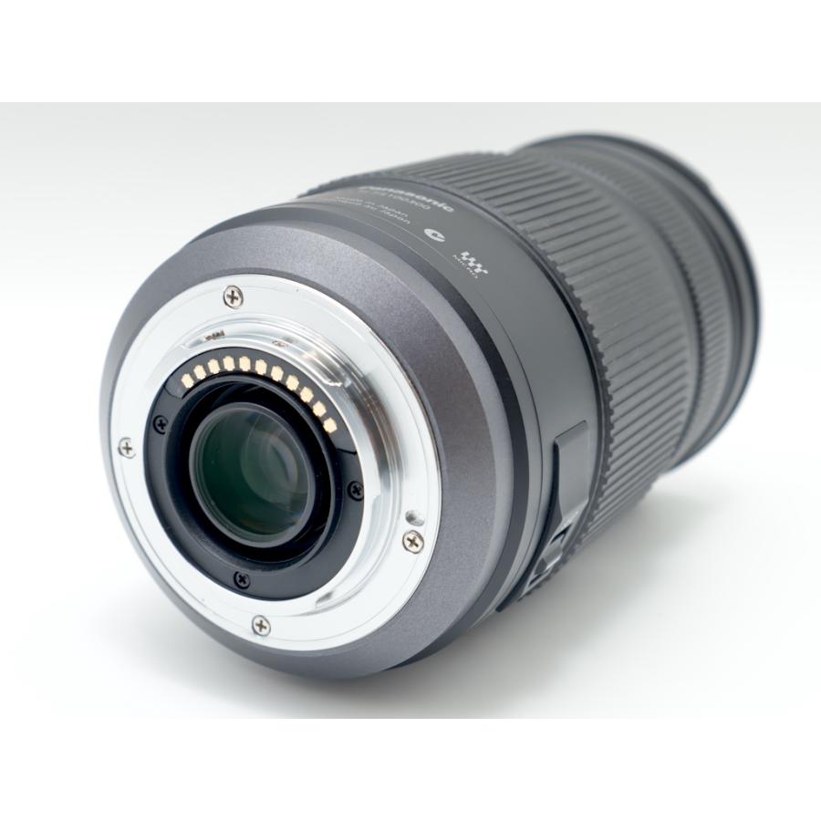 パナソニック PanasonicLUMIX G VARIO 100-300mm/F4.0-5.6/MEGA O.I.S. H-FS100300 |  | 03