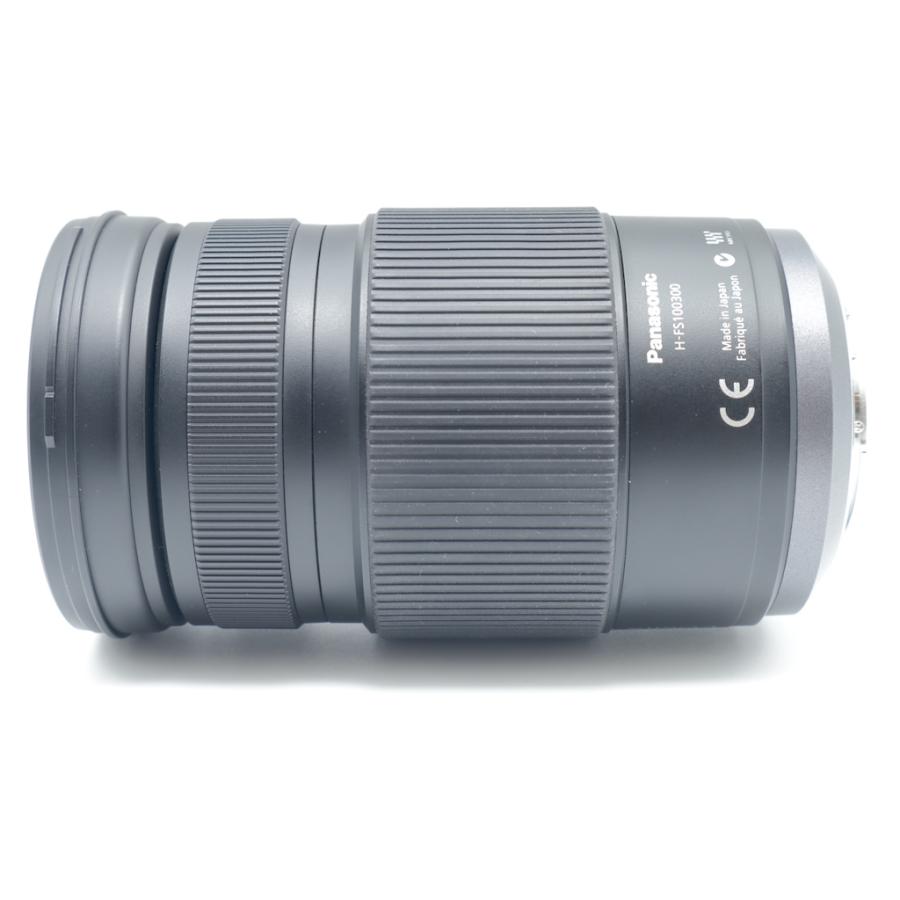 パナソニック PanasonicLUMIX G VARIO 100-300mm/F4.0-5.6/MEGA O.I.S. H-FS100300 |  | 05