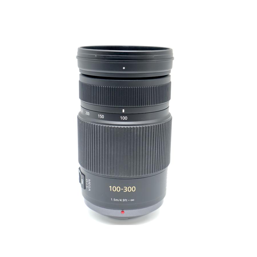 パナソニック PanasonicLUMIX G VARIO 100-300mm/F4.0-5.6/MEGA O.I.S. H-FS100300 |  | 08