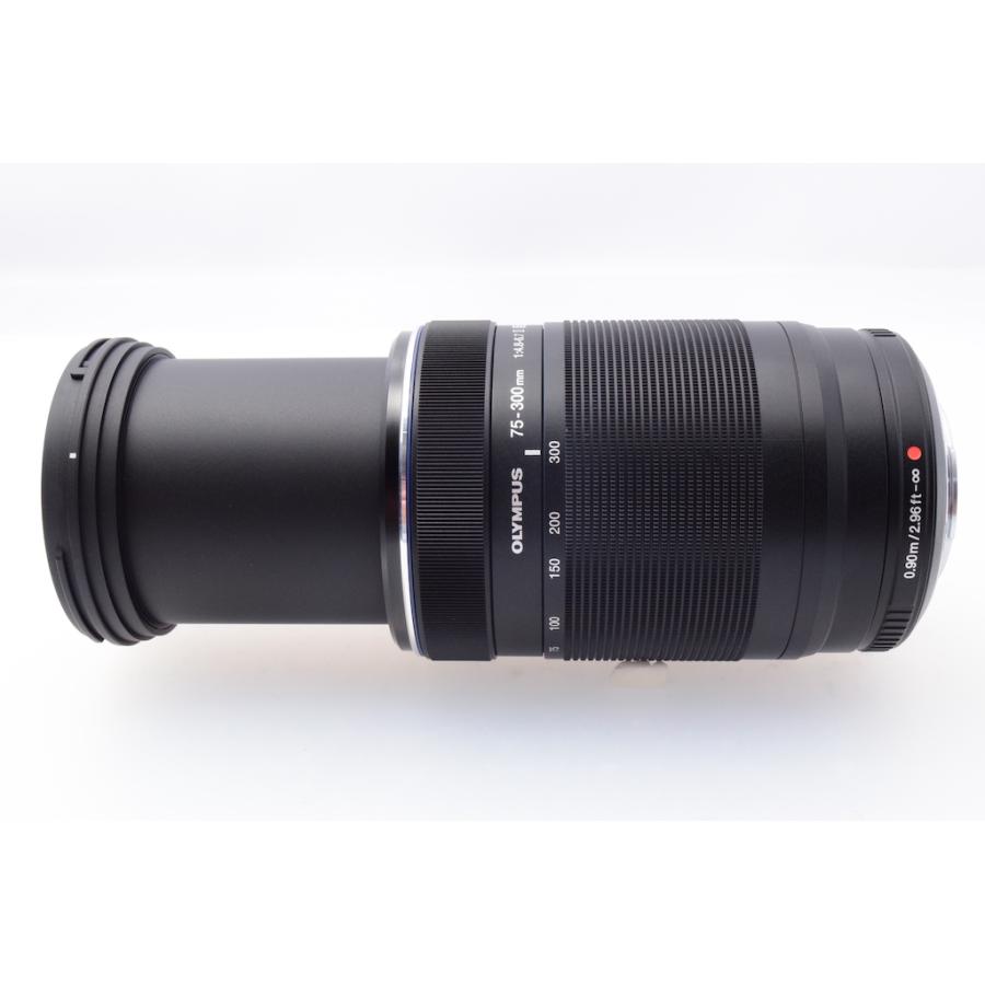 オリンパス OLYMPUS  M.ZUIKO DIGITAL ED 75-300mm F4.8-6.7 II |  | 03