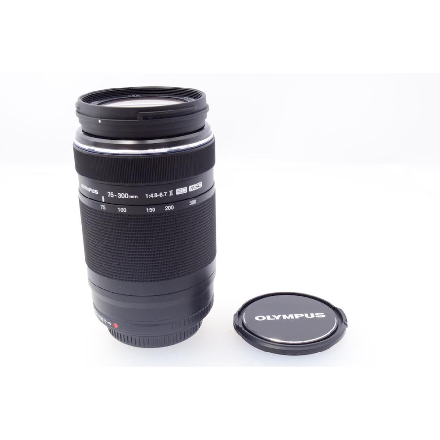 オリンパス OLYMPUS  M.ZUIKO DIGITAL ED 75-300mm F4.8-6.7 II |  | 05