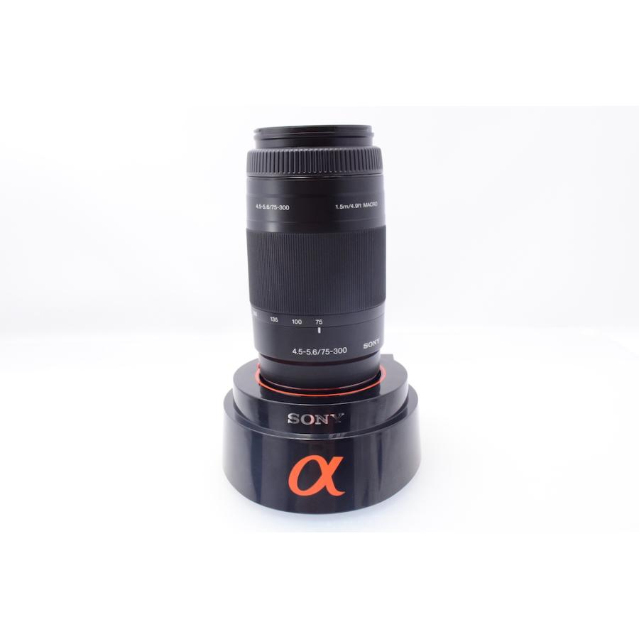 ソニー SONY 75-300mm F4.5-5.6 SAL75300 | 