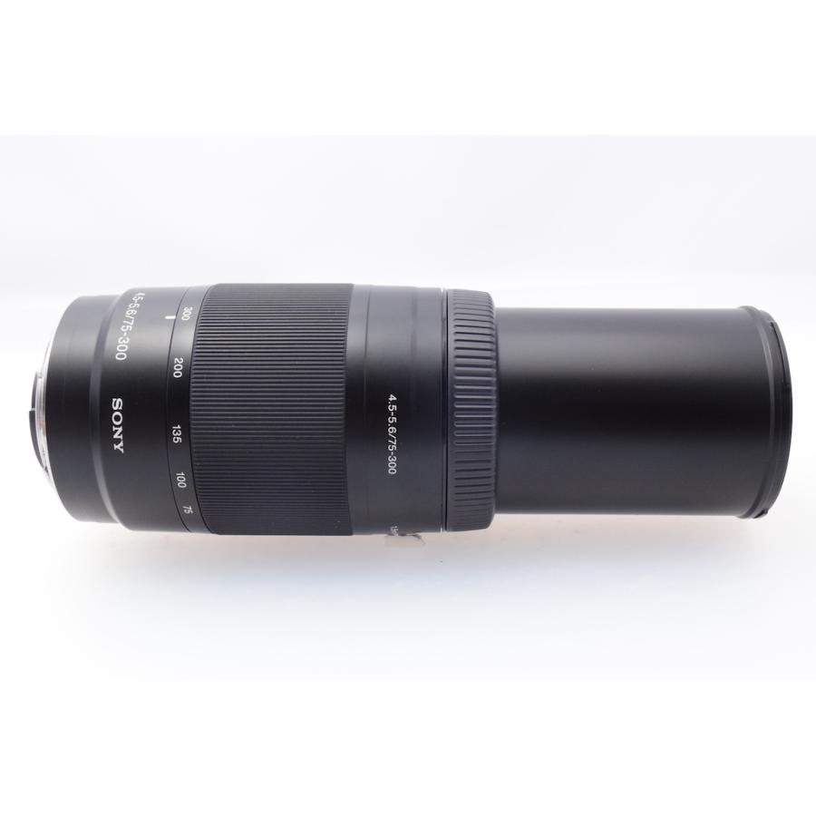 ソニー SONY 75-300mm F4.5-5.6 SAL75300 |  | 05