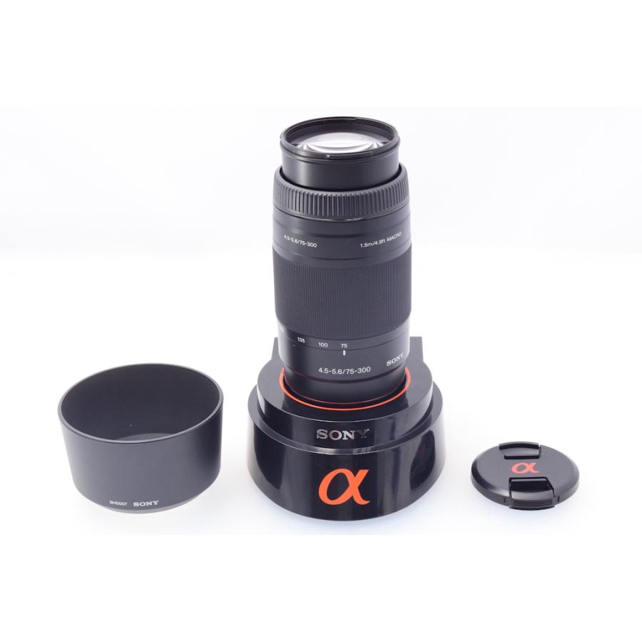 ソニー SONY 75-300mm F4.5-5.6 SAL75300 |  | 06