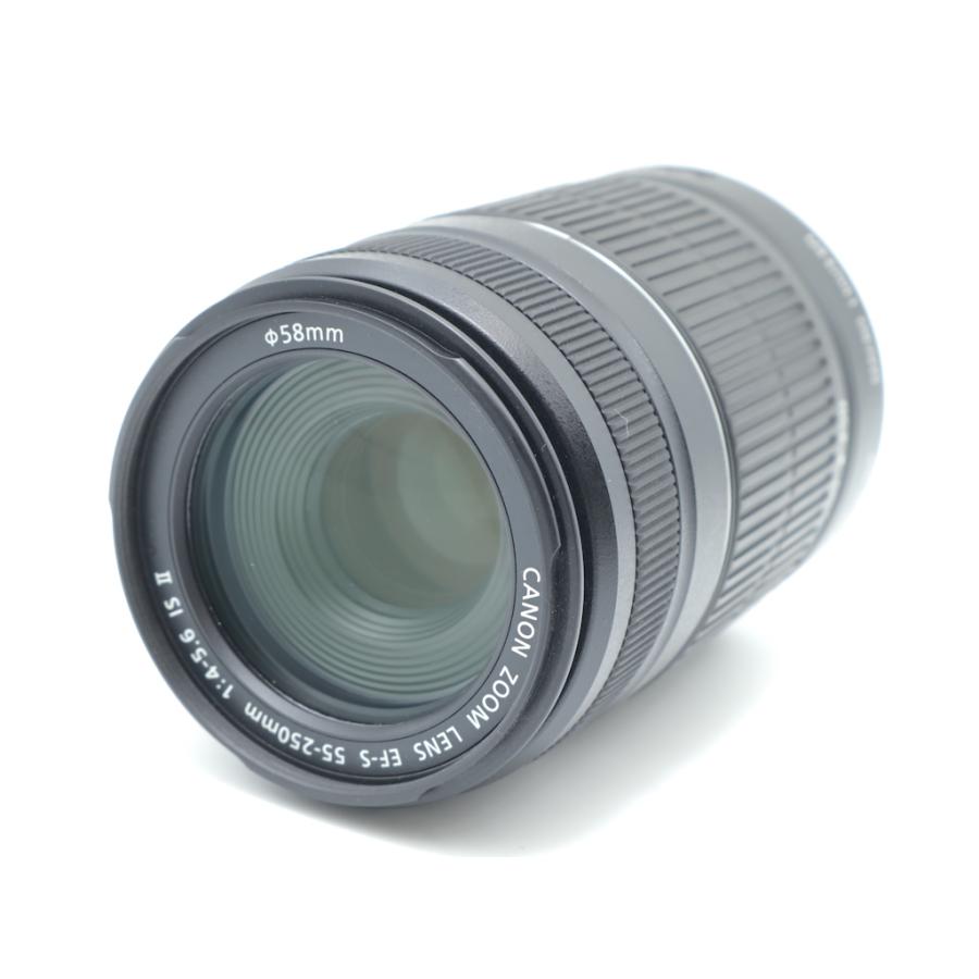 キヤノン Canon EF-S55-250mm F4-5.6 IS II |  | 01