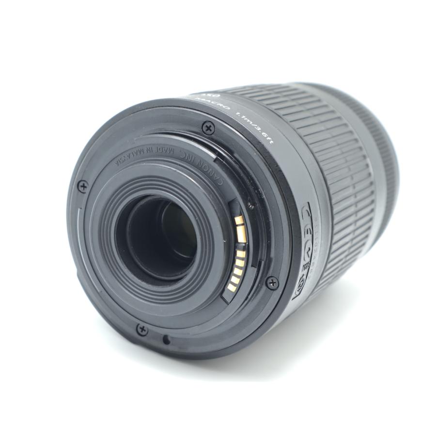 キヤノン Canon EF-S55-250mm F4-5.6 IS II |  | 03