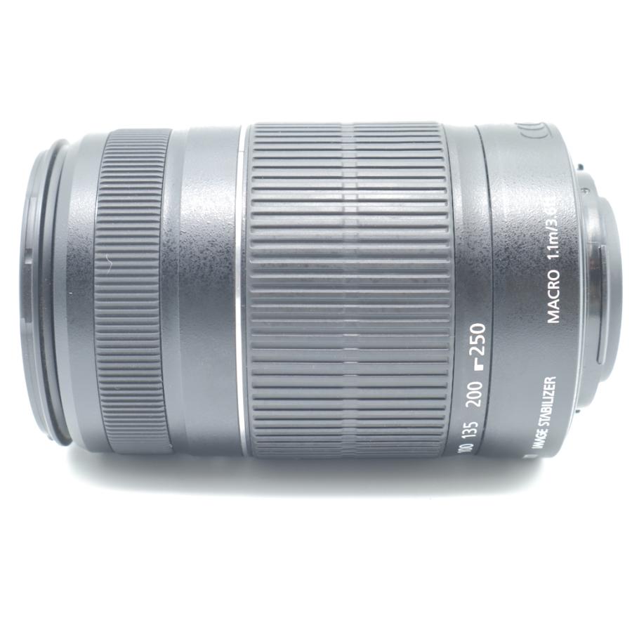 キヤノン Canon EF-S55-250mm F4-5.6 IS II |  | 05