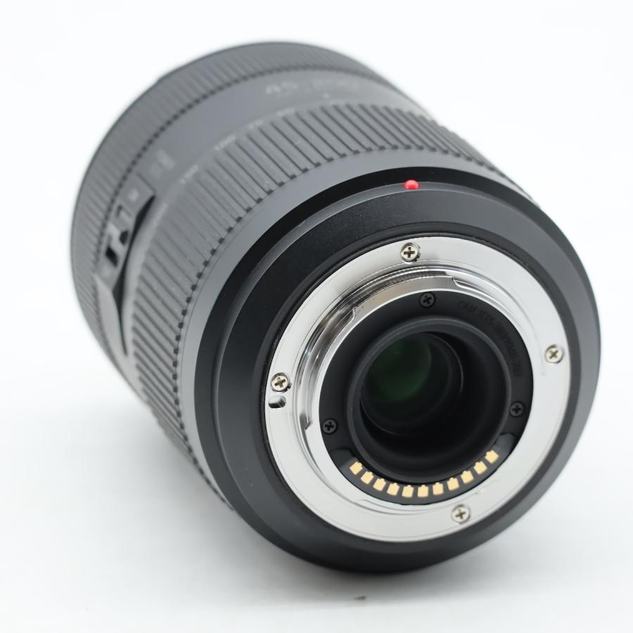 パナソニック Panasonic ルミックス G VARIO 45-200mm/F4.0-5.6 II ASPH. /POWER O.I.S. H-FSA45200 |  | 02