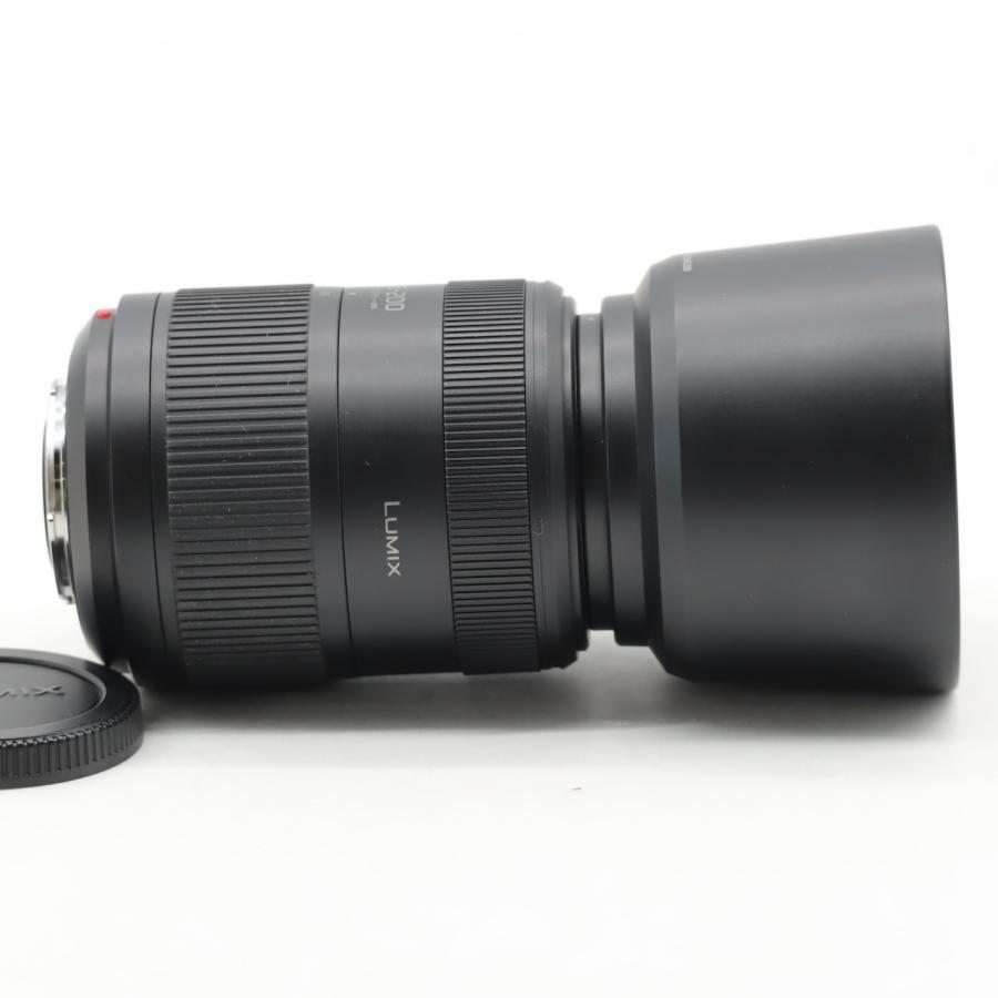 パナソニック Panasonic ルミックス G VARIO 45-200mm/F4.0-5.6 II ASPH. /POWER O.I.S. H-FSA45200 |  | 08