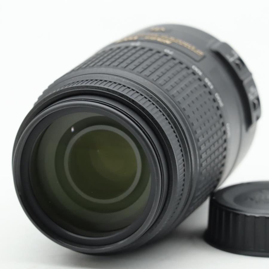 ニコン Nikon AF-S DX NIKKOR 55-300mm f/4.5-5.6G ED VR |  | 01