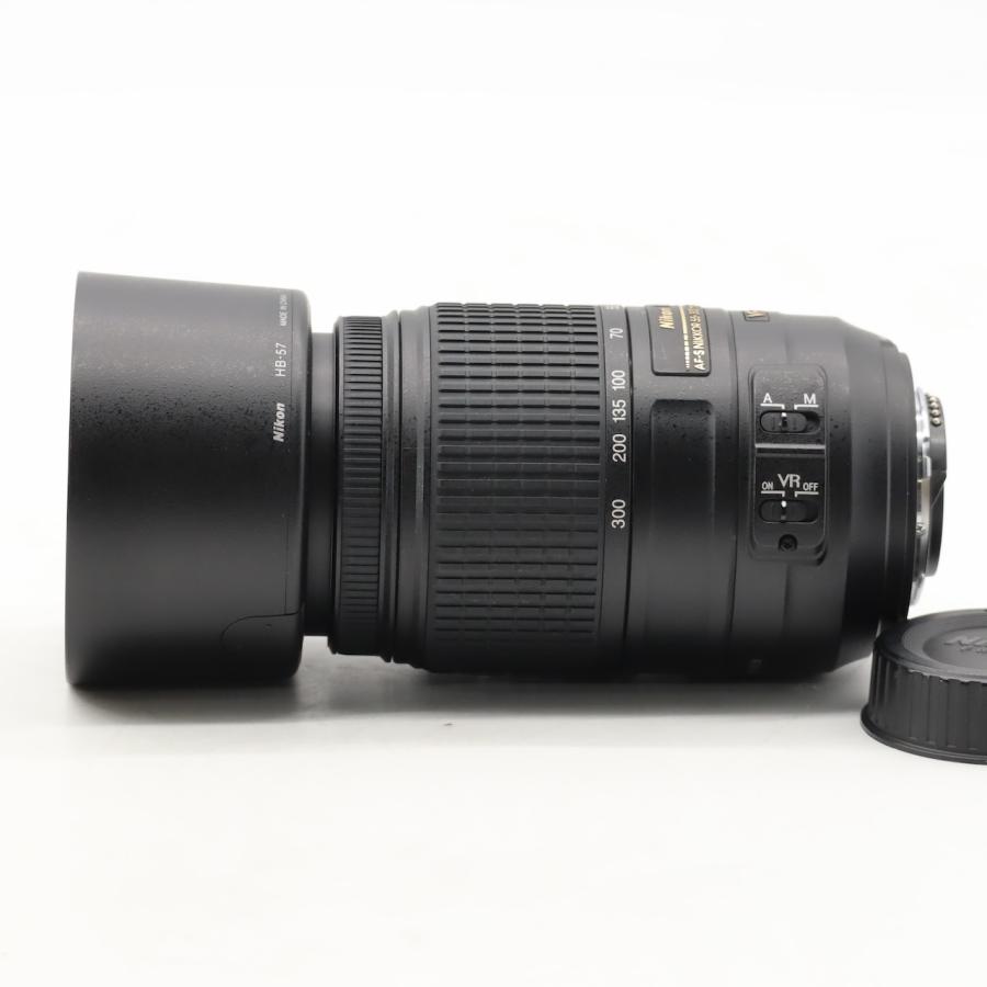 ニコン Nikon AF-S DX NIKKOR 55-300mm f/4.5-5.6G ED VR |  | 09