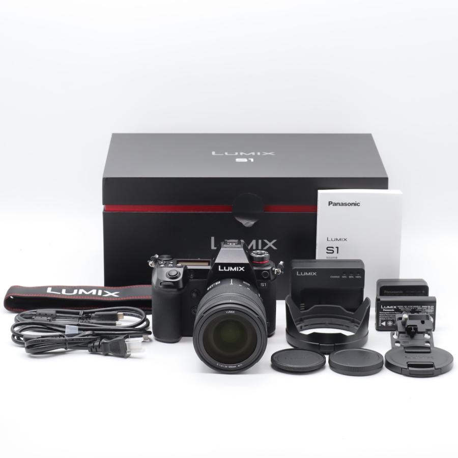 パナソニック Panasonic フルサイズ ミラーレス一眼カメラ ルミックス S1M 標準ズームレンズキット  ブラック DC-S1M-K | 