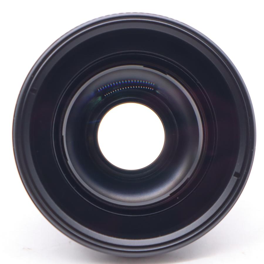 オリンパス フィッシュアイコンバーター FCON-T01 |  | 08